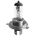 iarovka Halogen H4 12V 60/55W, ptica P43t