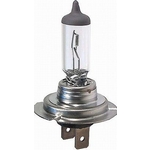 iarovka Halogen H7 12V 55W, ptica PX26T